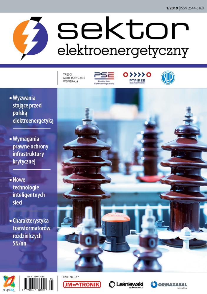 Sektor Elektroenergetyczny 2019
