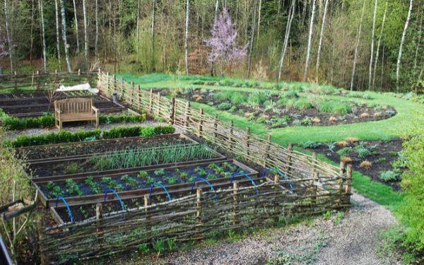 Jak założyć ekologiczny warzywnik: projekt, miejsce, ogrodzenie